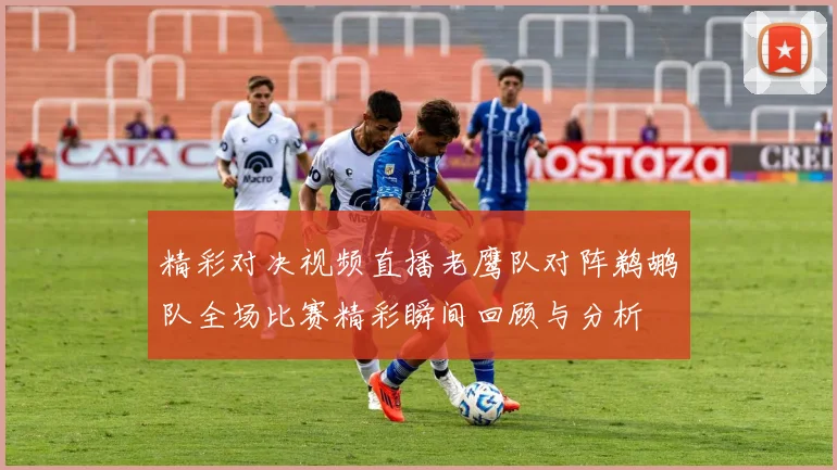 精彩对决视频直播老鹰队对阵鹈鹕队全场比赛精彩瞬间回顾与分析