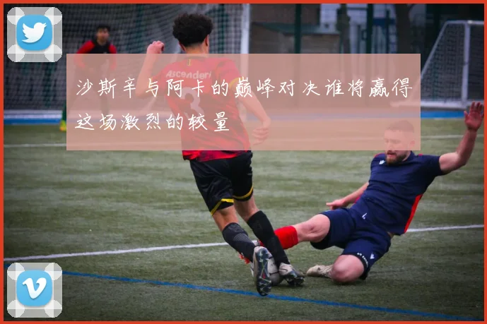 沙斯辛与阿卡的巅峰对决谁将赢得这场激烈的较量