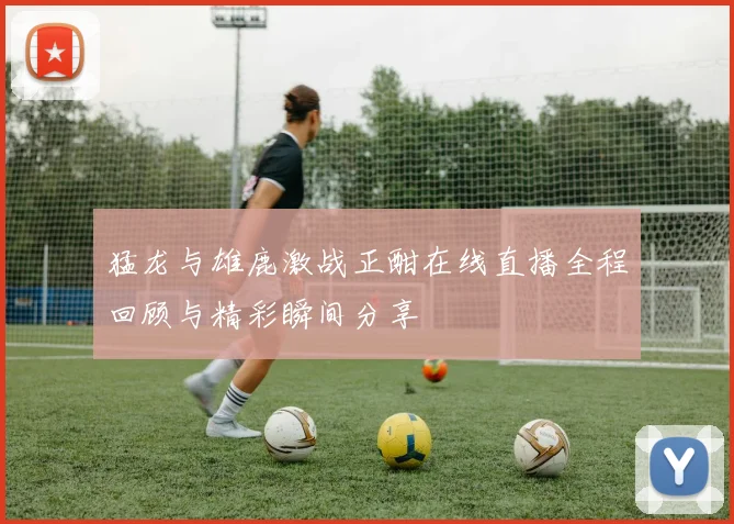 猛龙与雄鹿激战正酣在线直播全程回顾与精彩瞬间分享