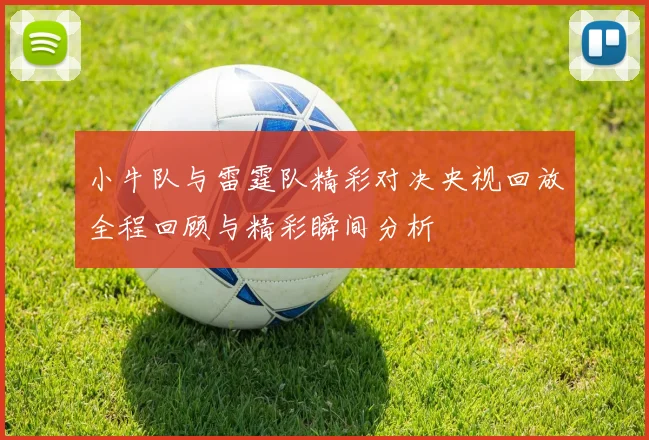 小牛队与雷霆队精彩对决央视回放全程回顾与精彩瞬间分析