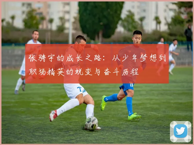 张骋宇的成长之路：从少年梦想到职场精英的蜕变与奋斗历程