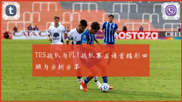 TES战队与FLY战队赛后语音精彩回顾与分析分享