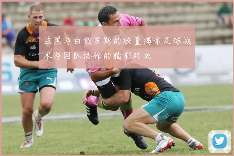 波黑与白俄罗斯的较量揭示足球战术与团队协作的精彩对决