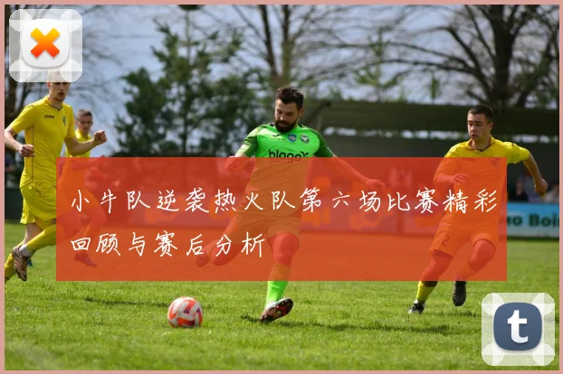 小牛队逆袭热火队第六场比赛精彩回顾与赛后分析