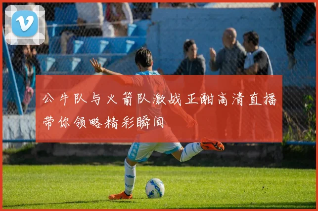 公牛队与火箭队激战正酣高清直播带你领略精彩瞬间